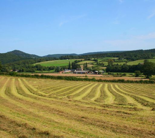 Farms & Land For Sale